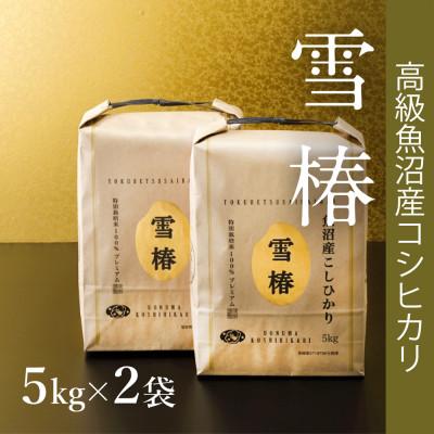 ふるさと納税 新潟県 高級中魚沼産コシヒカリ「雪椿」10kg(5kg×2袋)　特別栽培米