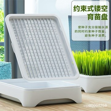 ☀️臺灣現貨☀️貓草水培盆栽盒 無土水培盒 貓草盆栽 種毛草 貓草盒 貓咪化毛 貓草盒 水培貓草盒 IPEM
