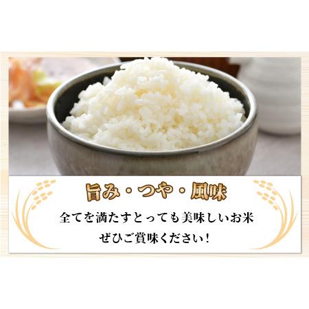 ふるさと納税 《定期便12回》特別栽培米 いっちょらい 精米 5kg（計60kg）／ 福井県産 ブランド米 コシヒカリ ご飯 白米 新鮮 大.. 福井県あわら市