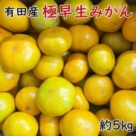 有田産極早生みかん約5kg（サイズ混合） ※着日指定不可 ※2023年10月中旬～11月上旬頃に順次発送予定