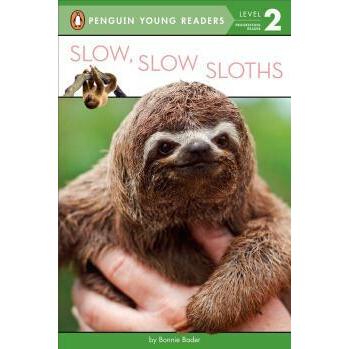 Slow  Slow Sloths (Paperback)