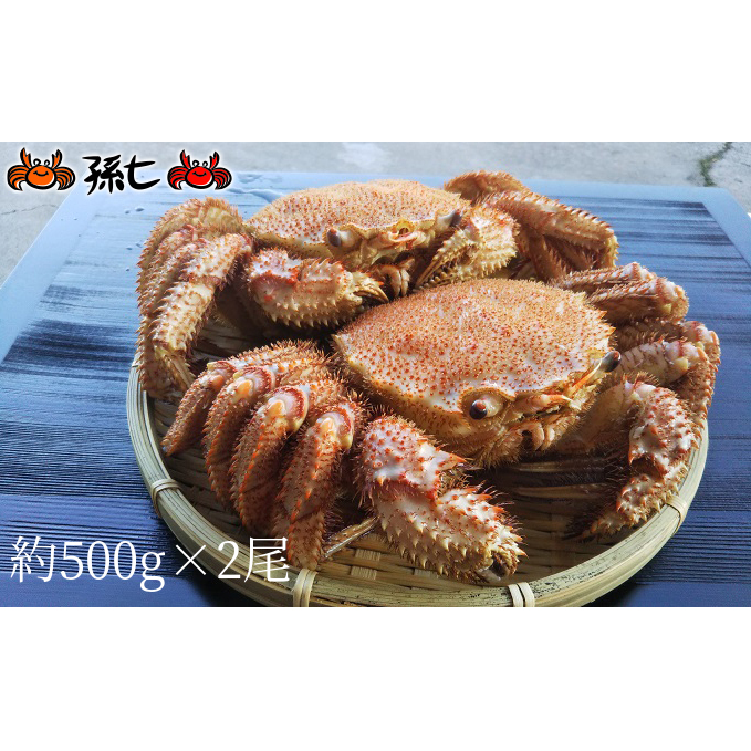 富山産　毛がに約500g×2尾