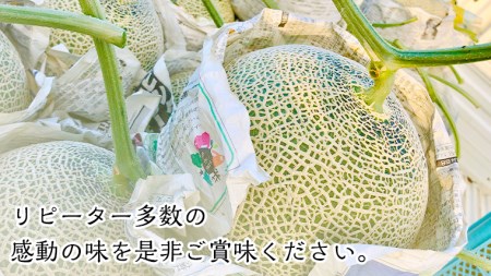 季節限定 ！ 甘さ満点 アールス メロン 大箱 （ 4〜5玉 ） 先行予約 果物 フルーツ 農家直送 産直 青肉メロン 特産品 マスクメロン[BC046sa]