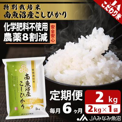 ふるさと納税 南魚沼市 特別栽培米南魚沼産こしひかり8割減 精米 2kg全6回