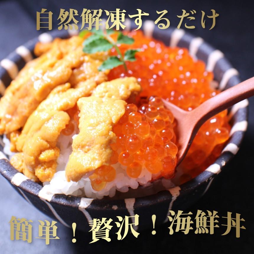 お歳暮 ギフト海鮮丼 2色 いくら ウニ 無添加ウニ 送料無料 父の日