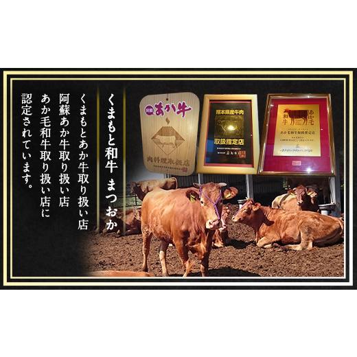 ふるさと納税 熊本県 水俣市 くまもと あか牛 小間切れ 500g×2 計 1kg 赤身 霜降り 牛肉