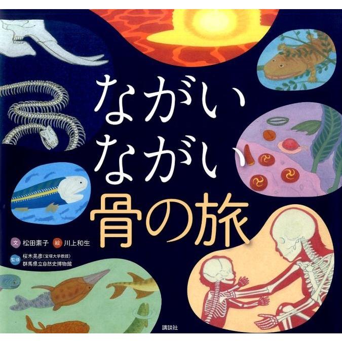ながいながい骨の旅 松田素子 川上和生 桜木晃彦