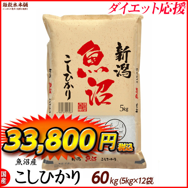 魚沼産 コシヒカリ 60kg(5kg×12袋) 精白米 国産 令和5年産 国産コシヒカリ100％ 送料無料 精米工場からの直送品