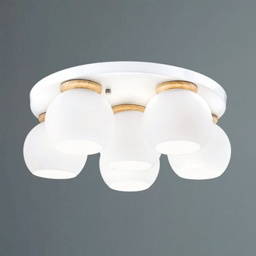 E27 北歐風吸頂六燈 B188-53-12-2933