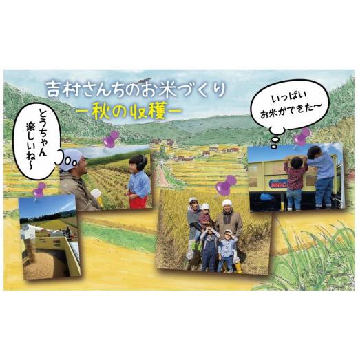 ふるさと納税 新潟県 十日町市 ｜従来品種｜ 魚沼産 コシヒカリ 5kg ×2袋 計10kg 米 こしひかり お米 コメ 新潟 魚沼 魚沼産 白米 送料無料 新潟県産 精米 産…