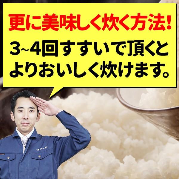 お米 宮城県産 ひとめぼれ  無洗米  9kg  令和5年産 送料無料