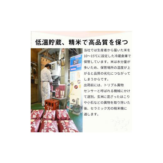 ふるさと納税 京都府 亀岡市 訳あり 定期便 新米 10kg （こしひかり 5kg ・ きぬひかり 5kg） ×6ヶ月 京都丹波米 白米 6回定期便 コシヒカリ・キヌヒカリ 各5…