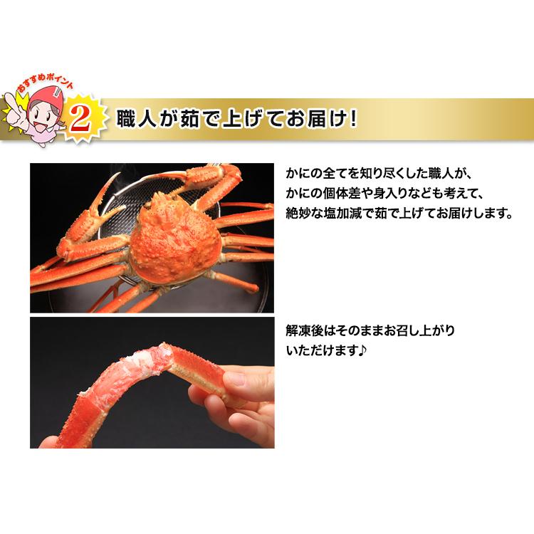 かに カニ 蟹 ズワイガニ ボイル| ボイルずわい姿5〜6杯（約3kg）