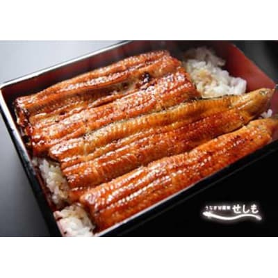 国産ブランド鰻　共水うなぎのかば焼き　5串(約115g×5)タレ・山椒付き