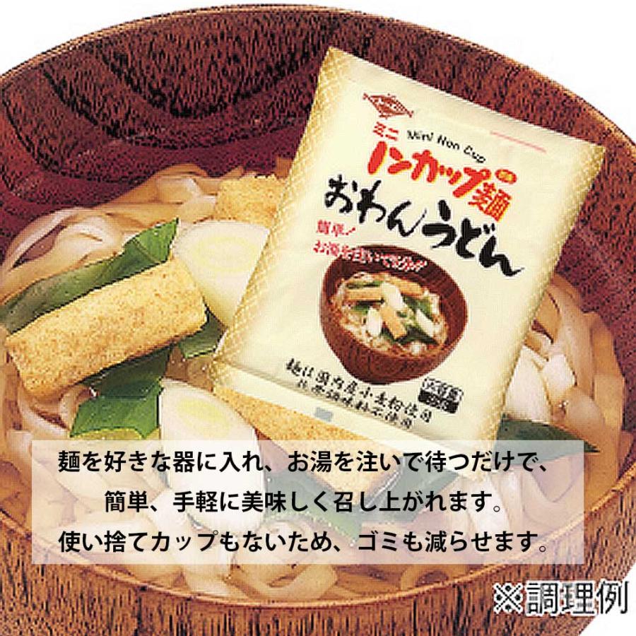 ミニノンカップ麺　おわんうどん 35g［トーエー食品］かん水不使用　即席めん　ラーメン