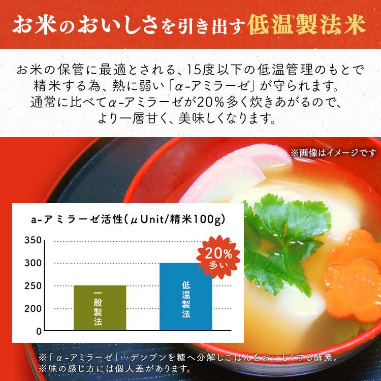 餅 丸餅 600g もち 大判 国産 個包装 おもち 低温製法米 生まるもち 国産もち米 もち米 お正月 お雑煮 アイリスフーズ