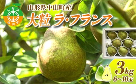 山形県中山町産 大粒「ラ・フランス」3kg(6～10玉) 期間限定 数量限定 山形県産 フルーツ くだもの 果物 ラフランス ナシ 梨 洋なし 洋梨 F4A-0109