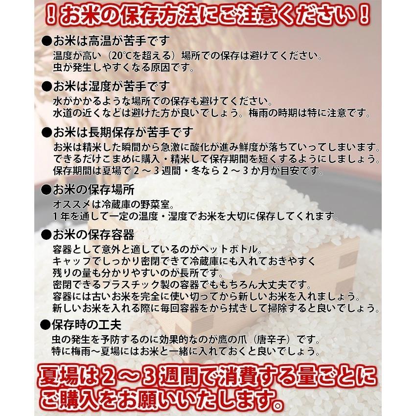 世界農業遺産　北陸・石川県能登米こしひかり（日本海）5kg　送料無料!!(北海道、沖縄、離島は