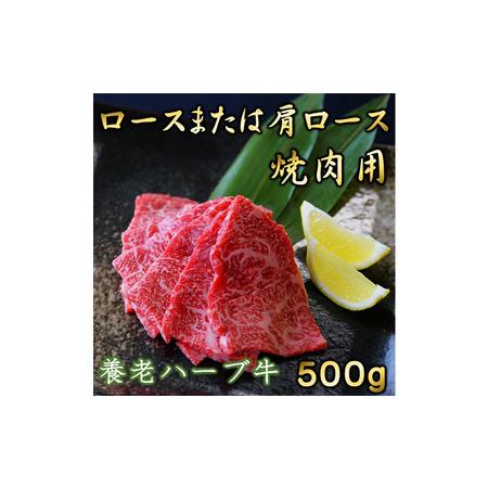 ふるさと納税 養老ハーブ牛　ロースまたは肩ロース　焼肉用　500g 岐阜県養老町