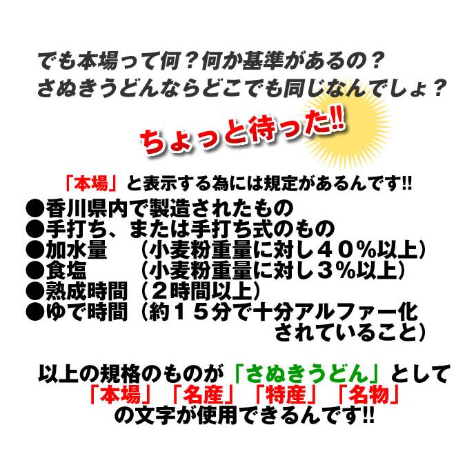 本場讃岐うどん 平打ち麺 1kg 半生 讃岐うどん 送料無料 ポスト投函便での配送(代引 後払 着日指定不可)