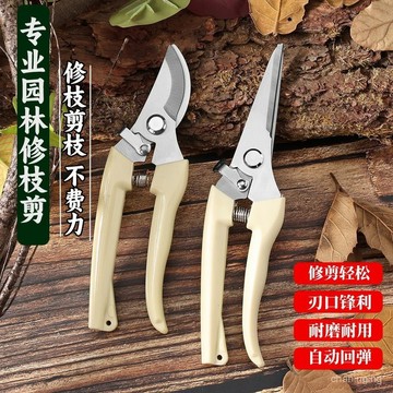 園藝園林果樹剪刀修剪樹枝盆栽花卉枝剪刀綠化嫁接園林園藝工具🔥三月放送 JHZ1