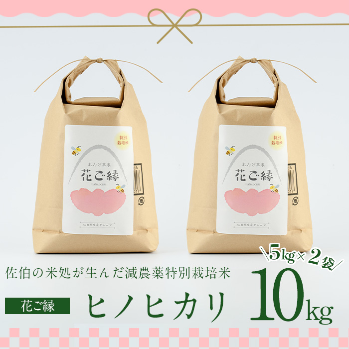 ＜新米・令和5年産＞減農薬特別栽培米 はなご縁 (計10kg・5kg×2袋) 米 ひのひかり ヒノヒカリ 精米 白米 大分県産 大分県 佐伯市