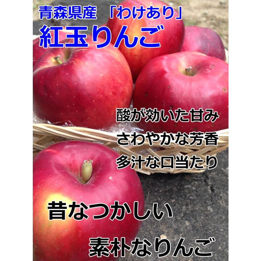 りんご 訳あり 10kg箱 青森県産 紅玉りんご 9Kg以上 訳あり 常温便は送料無料