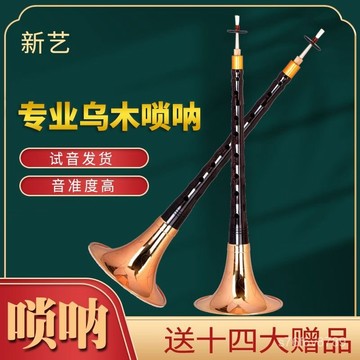 獨家正品🔥嗩吶 嗩吶為王 嗩吶樂器 烏木 專業者 初學者 嗩吶樂器全套初學者成人專業演奏烏木D調降B調民間喇叭樂器