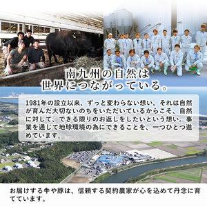 ふるさと納税 a6-023 国産黒毛和牛切り落とし 計900g(300g×3P) 鹿児島県志布志市