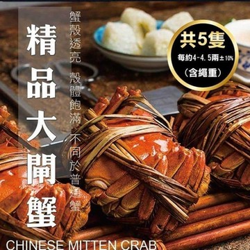 【海陸管家】江南精品大閘蟹5隻(每隻約3.2-4.5兩)