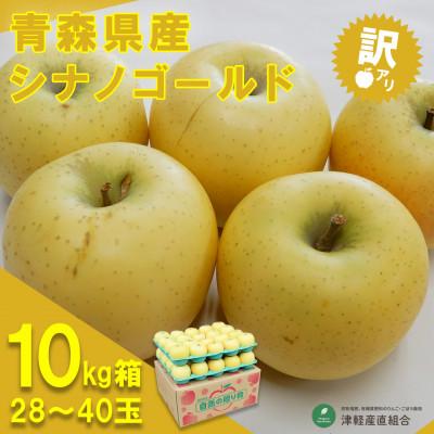 ふるさと納税 青森市 令和6年1月中旬より発送 訳アリ シナノゴールド10キロ箱 28〜40玉 津軽産直組合直送!