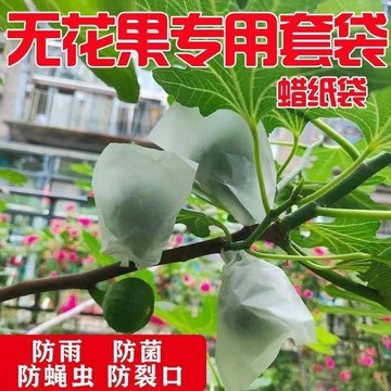 ⚡️本島直出⚽️櫻桃專用套袋草莓袋櫻桃袋無花果車釐子套袋防雨防蟲防病害育果袋