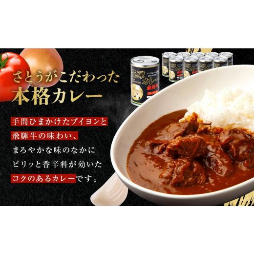 ふるさと納税 岐阜県 高山市 キッチン 飛騨監修 さとうオリジナル 飛騨牛カレー 10缶 飛騨牛入り ビーフカレー 飛騨高山 高山 ご当地カレー …