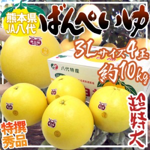 熊本県八代特産 ”晩白柚” ばんぺいゆ 秀品 超特大3Lサイズ 4玉 約10kg 送料無料