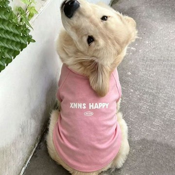 💕在臺出貨🔥中大型犬狗狗夏季衣服大狗衣服薩摩耶金毛T恤