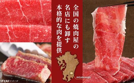 赤身すき焼き1kg(500g×2パック)_MJ-I902-2402_(都城市) 国産黒毛和牛 赤身 ウデまたはモモ すき焼き しゃぶしゃぶ 500g×2パック 秋特集