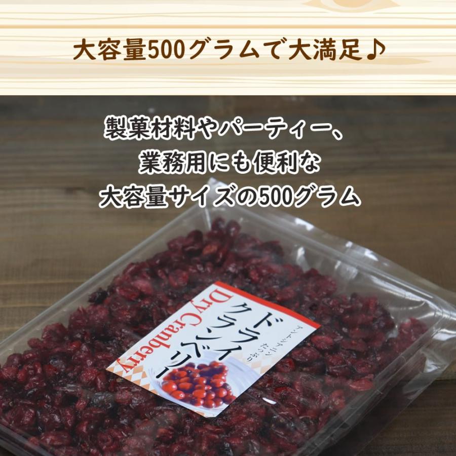 大地の生菓 ドライクランベリー 500g ドライフルーツ 手土産 フルーツティー 送料無料 プチギフト 保存食 クリスマス ギフト プレゼント 2023