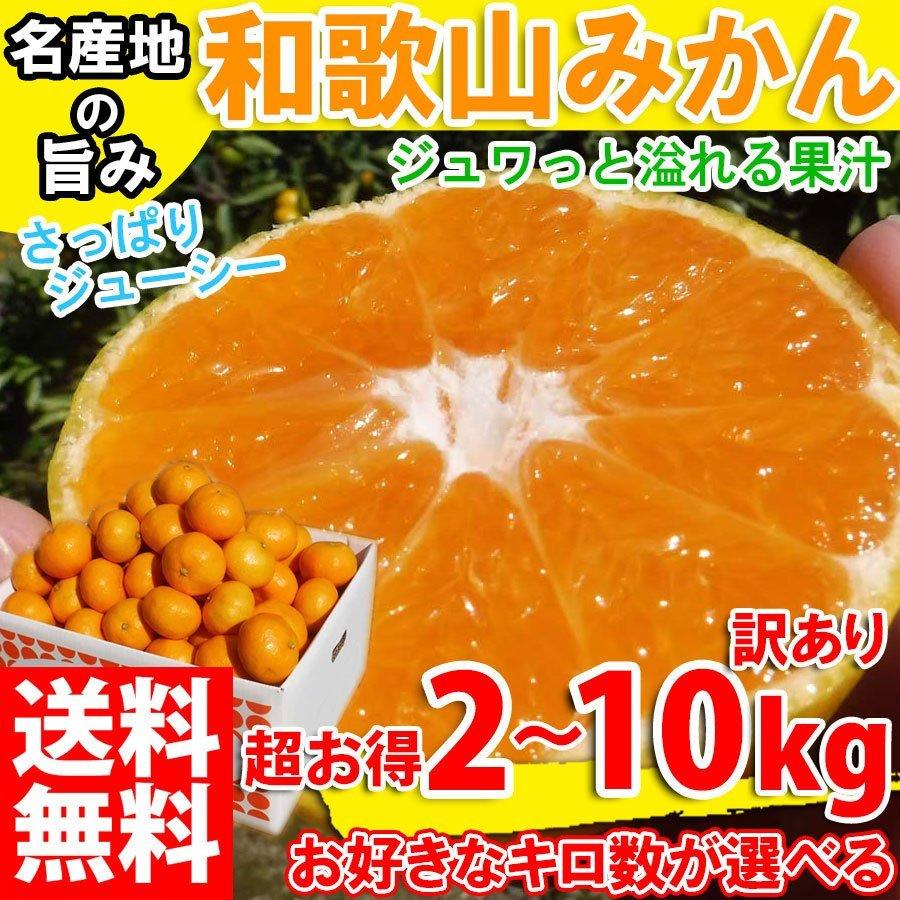 みかん 訳あり 2kg〜10kg 送料無料 ブランド 和歌山みかん 農家直送 人気 柑橘類 温州みかん ミカン フルーツ 果物