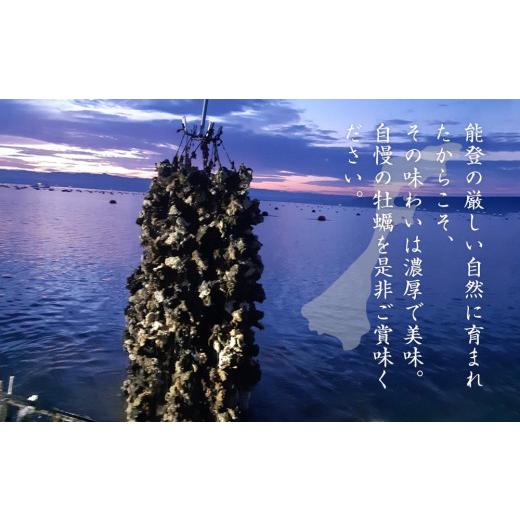 ふるさと納税 石川県 七尾市 能登かき むき身500g×２（約20〜30粒）×２