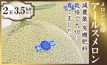 アールスメロン 2玉（3.5キロ以上）   長崎県農産品流通合同会社   長崎県 雲仙市 [item0085]   野菜 果物 フルーツ メロン 期間限定