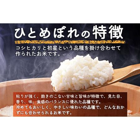 ふるさと納税  5年連続 特A ひとめぼれ 令和5年産 秋田県産 五平農園のひとめぼれ 5kg 秋田県由利本荘市