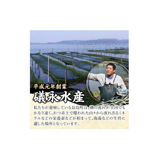 ふるさと納税 鹿児島県 長島町 ＜先行予約受付中！2024年2月頃から順次発送予定＞鹿児島県長島町産 乾燥あおさ(60g)iso-5621