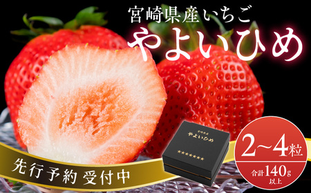 いちご「やよいひめ」2粒～4粒　最低140g以上 フルーツ 果物 苺