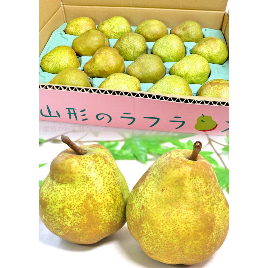 ラフランス 洋梨 約5kg 10〜20玉 秀品 山形県産 贈答品 JA共撰 濃厚な甘みにとろける口どけ！ギフトにも使える味わい抜群のフルーツ