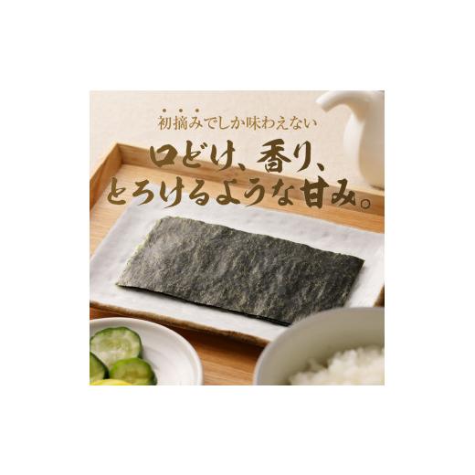 ふるさと納税 静岡県 焼津市 a15-395　訳あり 海苔 セット 寿司 はね 焼のり 全型 70枚