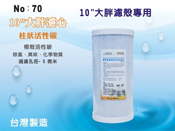 【龍門淨水】10吋大胖椰殼炭柱濾心 濾水器 淨水器 水族館 飲水機 水塔過濾器 RO純水機(貨號70)
