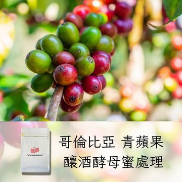 哥倫比亞 卡洛斯·阿爾席拉 青蘋果 釀酒酵母蜜處理 淺焙 (100g)【柏克斯咖啡】