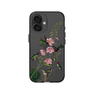 iPhone 16 Clear (相機按鈕) 酷墨灰 - The British Library - 美洲鳥譜 ‧ 哥倫比亞蜂鳥