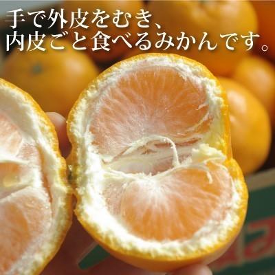 12月14日前後入荷　愛媛産はれひめ２０ｋｇ