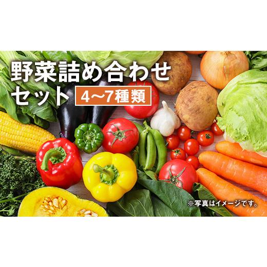 ふるさと納税 熊本県 益城町 季節の野菜 詰め合わせ セット 4〜7種 旬の野菜 季節 野菜